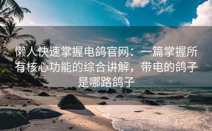 懒人快速掌握电鸽官网:一篇掌握所有核心功能的综合讲解,带电的鸽子是哪路鸽子
