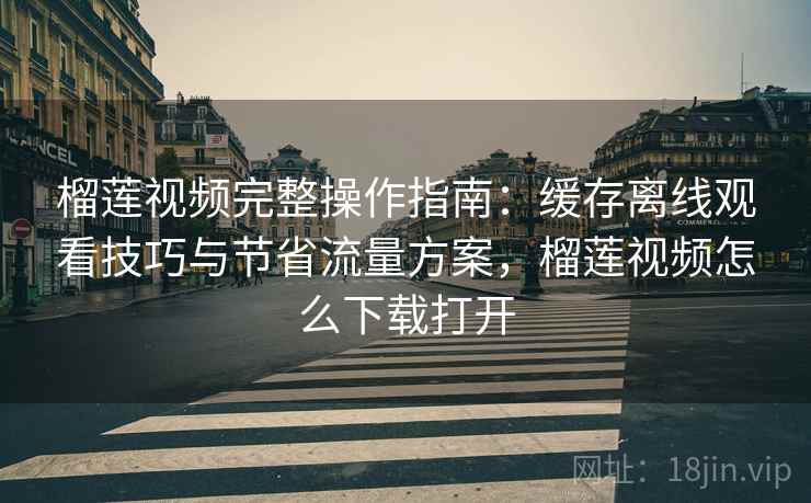 榴莲视频完整操作指南:缓存离线观看技巧与节省流量方案,榴莲视频怎么下载打开