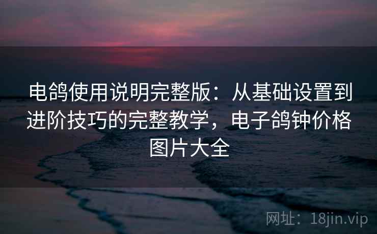 电鸽使用说明完整版：从基础设置到进阶技巧的完整教学，电子鸽钟价格图片大全