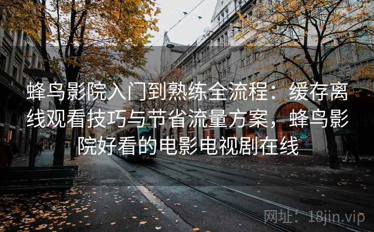 蜂鸟影院入门到熟练全流程：缓存离线观看技巧与节省流量方案，蜂鸟影院好看的电影电视剧在线