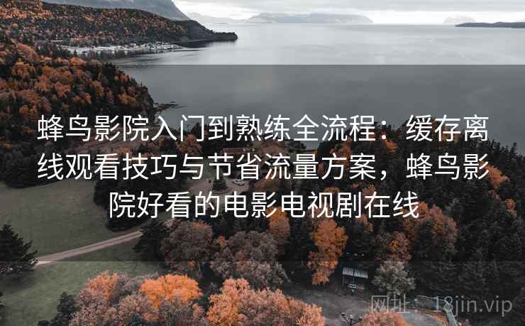 蜂鸟影院入门到熟练全流程：缓存离线观看技巧与节省流量方案，蜂鸟影院好看的电影电视剧在线