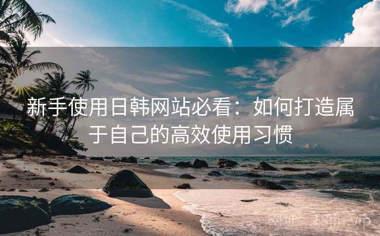 新手使用日韩网站必看：如何打造属于自己的高效使用习惯