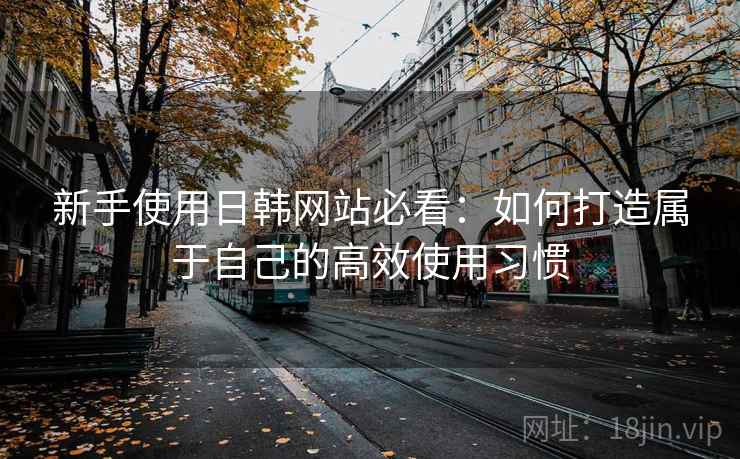 新手使用日韩网站必看：如何打造属于自己的高效使用习惯