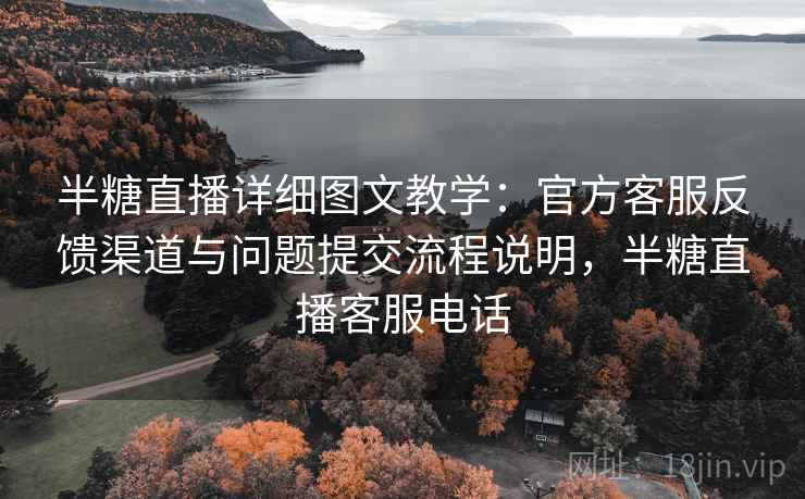 半糖直播详细图文教学：官方客服反馈渠道与问题提交流程说明，半糖直播客服电话  第2张