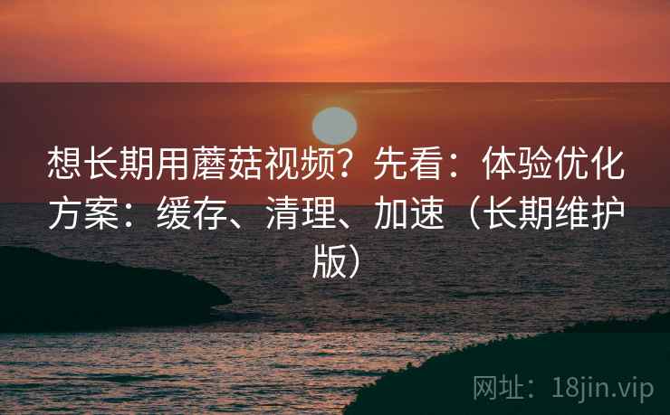想长期用蘑菇视频?先看:体验优化方案:缓存、清理、加速(长期维护版)