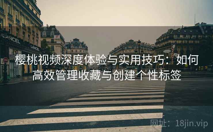 樱桃视频深度体验与实用技巧：如何高效管理收藏与创建个性标签