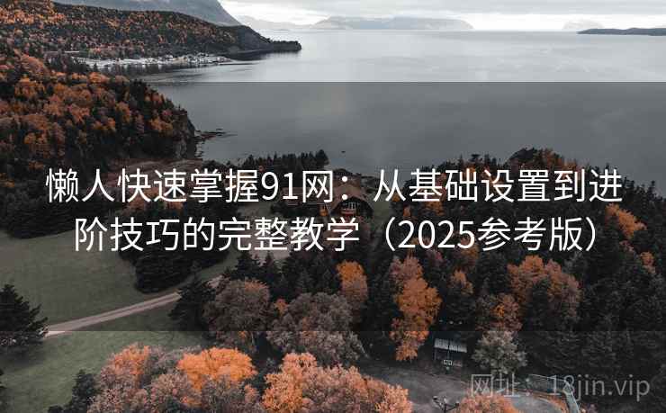 懒人快速掌握91网:从基础设置到进阶技巧的完整教学(2025参考版)