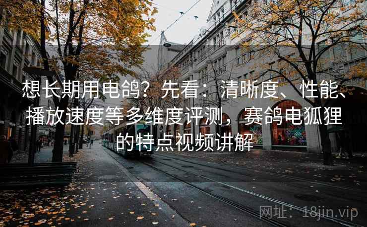 想长期用电鸽?先看:清晰度、性能、播放速度等多维度评测,赛鸽电狐狸的特点视频讲解