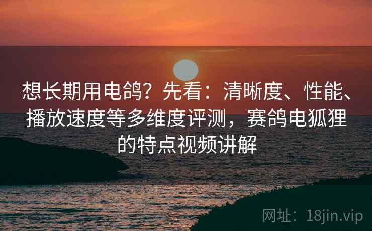 想长期用电鸽?先看:清晰度、性能、播放速度等多维度评测,赛鸽电狐狸的特点视频讲解