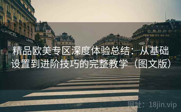 精品欧美专区深度体验总结：从基础设置到进阶技巧的完整教学（图文版）