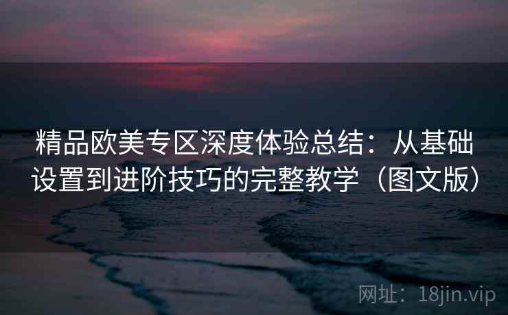 精品欧美专区深度体验总结：从基础设置到进阶技巧的完整教学（图文版）  第2张