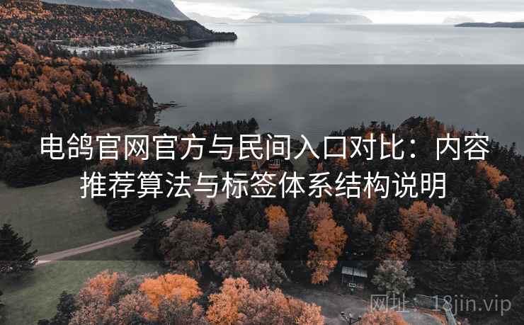 电鸽官网官方与民间入口对比：内容推荐算法与标签体系结构说明
