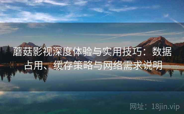 蘑菇影视深度体验与实用技巧：数据占用、缓存策略与网络需求说明