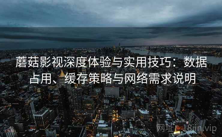 蘑菇影视深度体验与实用技巧：数据占用、缓存策略与网络需求说明