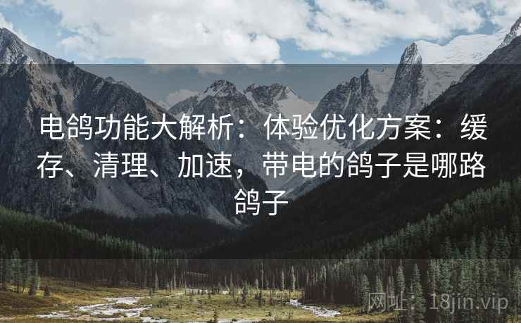 电鸽功能大解析:体验优化方案:缓存、清理、加速,带电的鸽子是哪路鸽子