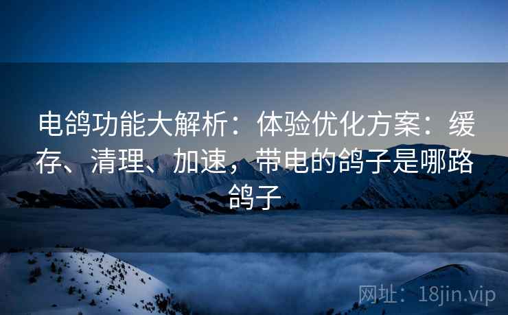 电鸽功能大解析:体验优化方案:缓存、清理、加速,带电的鸽子是哪路鸽子