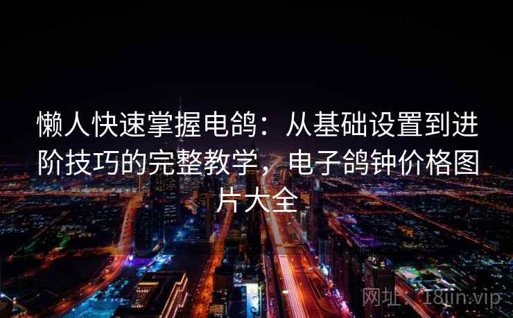 懒人快速掌握电鸽：从基础设置到进阶技巧的完整教学，电子鸽钟价格图片大全  第2张