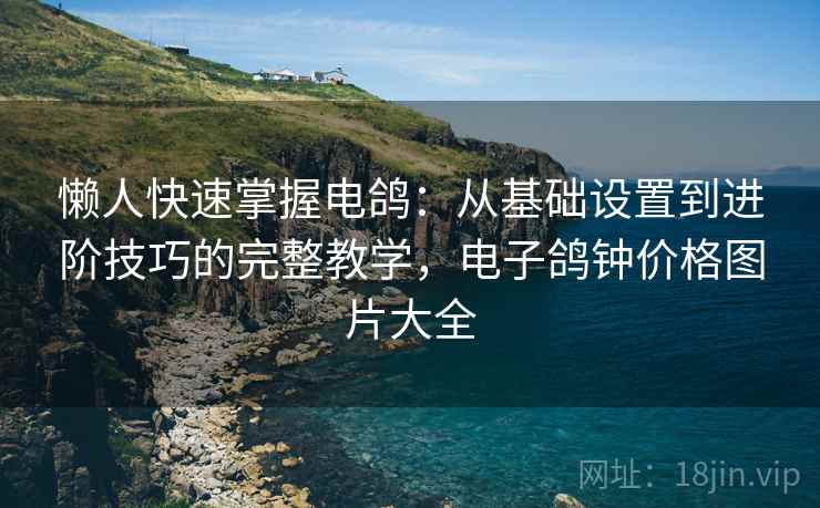 懒人快速掌握电鸽：从基础设置到进阶技巧的完整教学，电子鸽钟价格图片大全  第1张