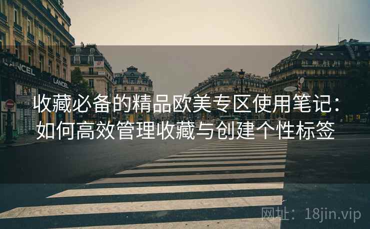 收藏必备的精品欧美专区使用笔记:如何高效管理收藏与创建个性标签