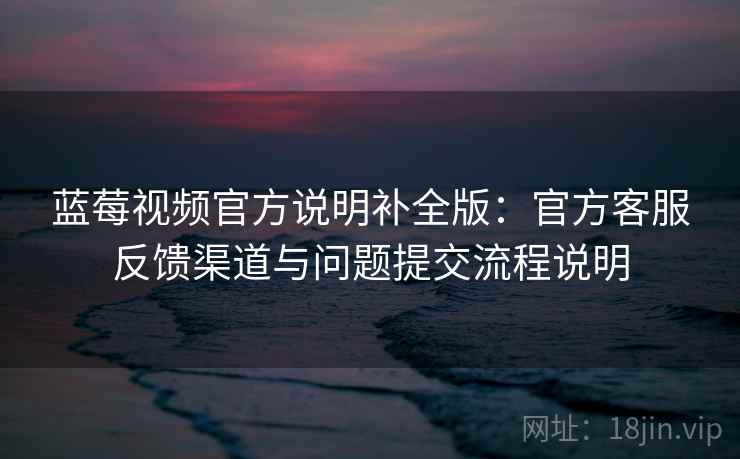 蓝莓视频官方说明补全版：官方客服反馈渠道与问题提交流程说明