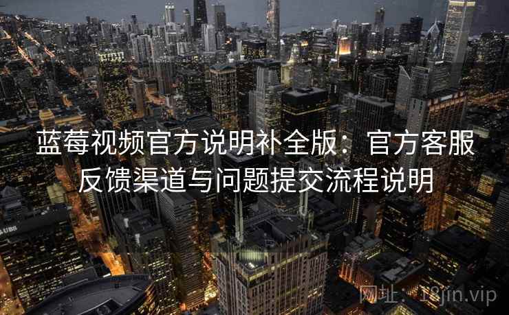 蓝莓视频官方说明补全版:官方客服反馈渠道与问题提交流程说明 第2张 蓝莓视频官方说明补全版:官方客服反馈渠道与问题提交流程说明 第2张