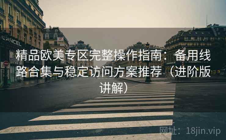 精品欧美专区完整操作指南：备用线路合集与稳定访问方案推荐（进阶版讲解）