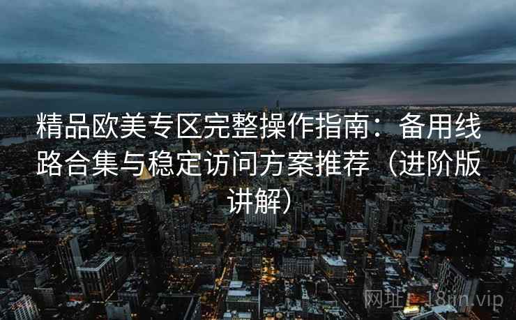 精品欧美专区完整操作指南：备用线路合集与稳定访问方案推荐（进阶版讲解）